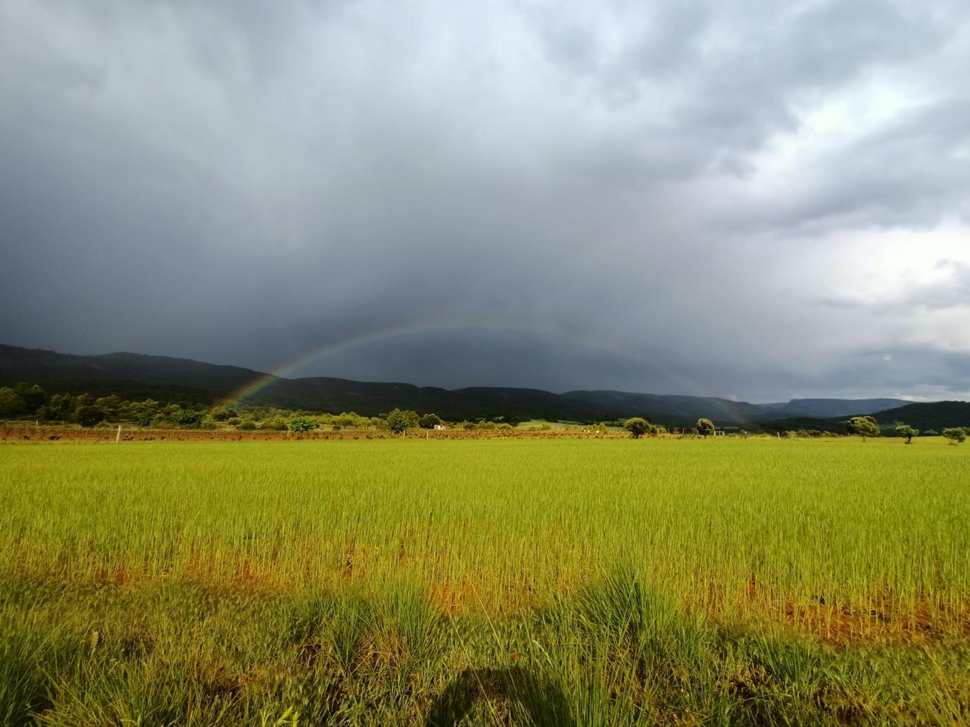 Alojamiento Rural El Cerro Fresneda de la Sierra Εξωτερικό φωτογραφία