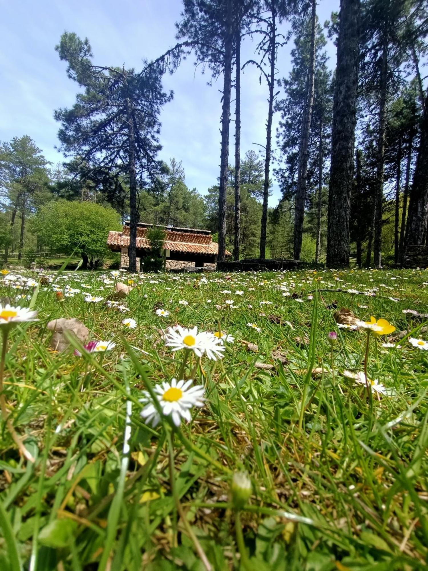 Alojamiento Rural El Cerro Fresneda de la Sierra Εξωτερικό φωτογραφία